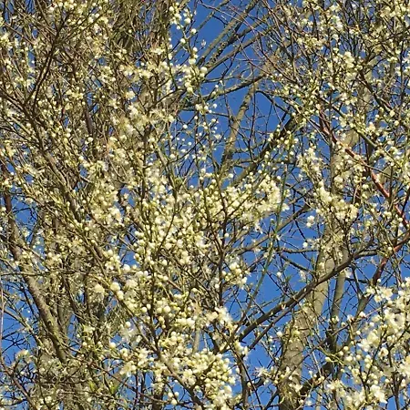 מוטל Motel Viborg וויבורג