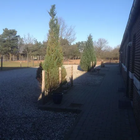 Motel Viborg 2*