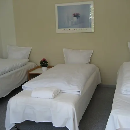 Motel Viborg 2* Viborg