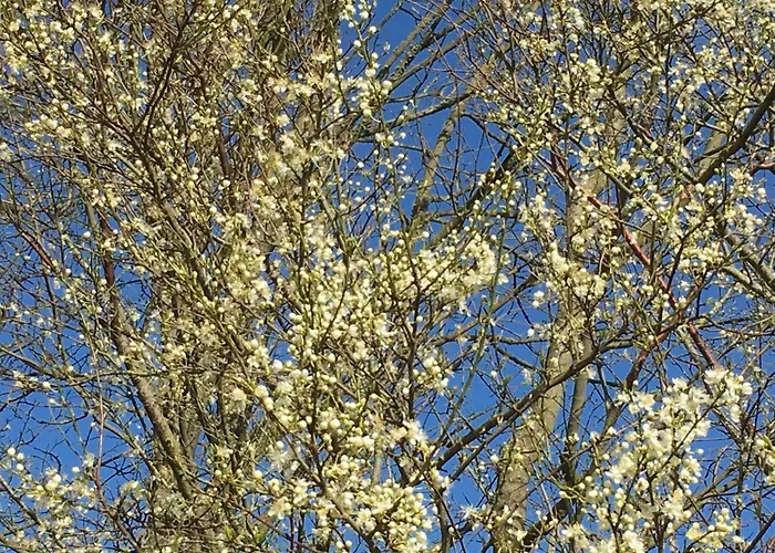 מוטל Motel Viborg וויבורג