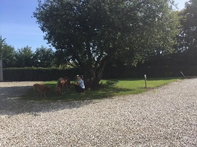 Motell Motel Viborg Viborg