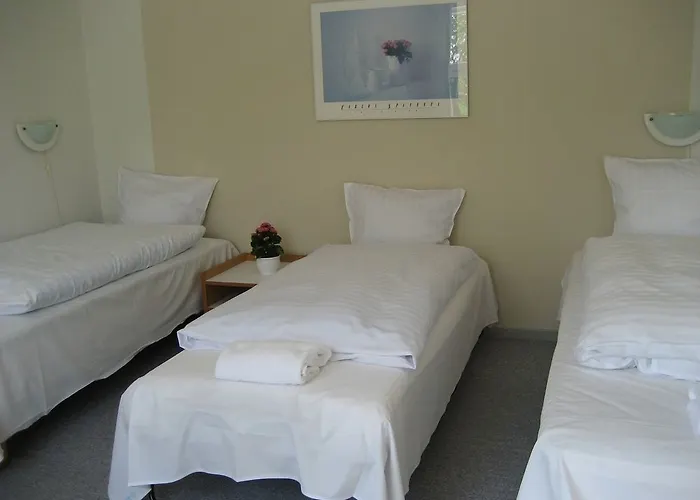 Motel Viborg 2* Viborg