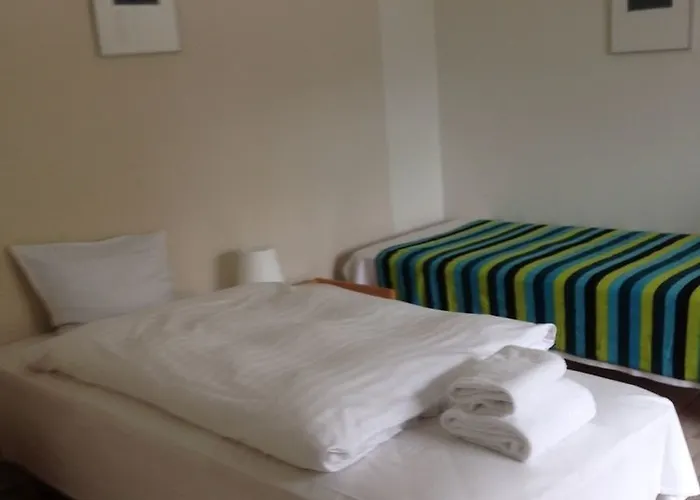 Motel Viborg 2* Viborg